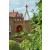 Ruddings Wood 167cm Orton Natural Rust Metal Garden Obelisk - view 2