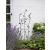 Decorative Plant Trellises Outdoor Support Black - view 2
