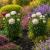 5 Leg Peony Cage Supports Medium Set of 2 - view 1