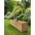 Large Wooden Planter Veg Herb Extra Depth - view 4