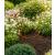 Peonies Support Tall Cone Cages Metal Natural Rust Medium Pack Of 2  - view 3