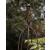Ruddings Wood 150cm Reeth Natural Rust Metal Garden Obelisk - view 2