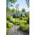 Tom Chambers Decorative Sundial Obelisk Metal Climbing Plant Support - view 1