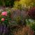 Peony Plant Garden Dahlia Flower Support Rings Metal Heavy Duty Large Natural Rust - view 4