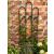 Scrolled Leaves Design Garden Black Trellis Panel - view 2