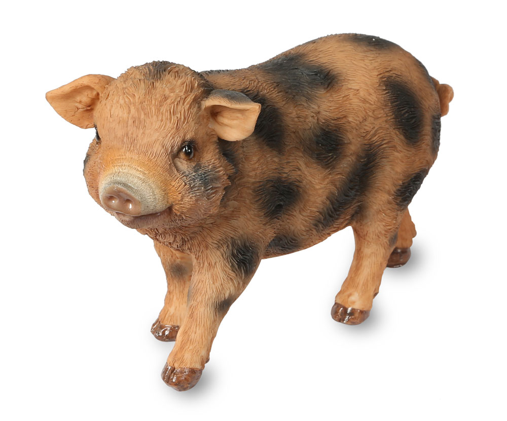 Brown and Black Standing Small Pig - Garden Ornament