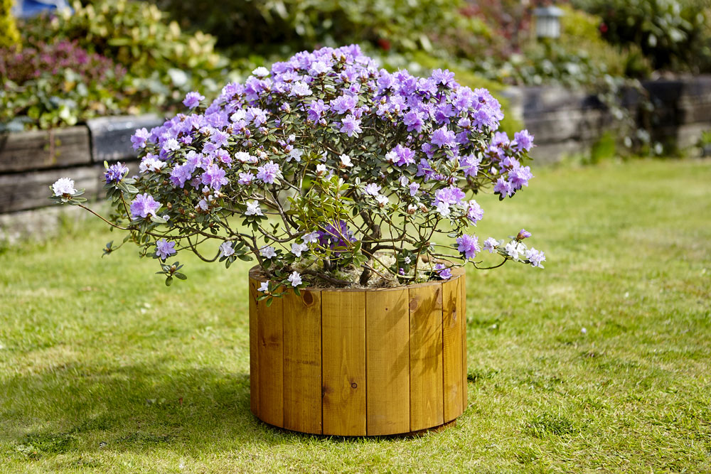 Arran Round Planter - Small