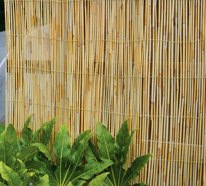 Reed Screening 5m x 1m Garden Screen