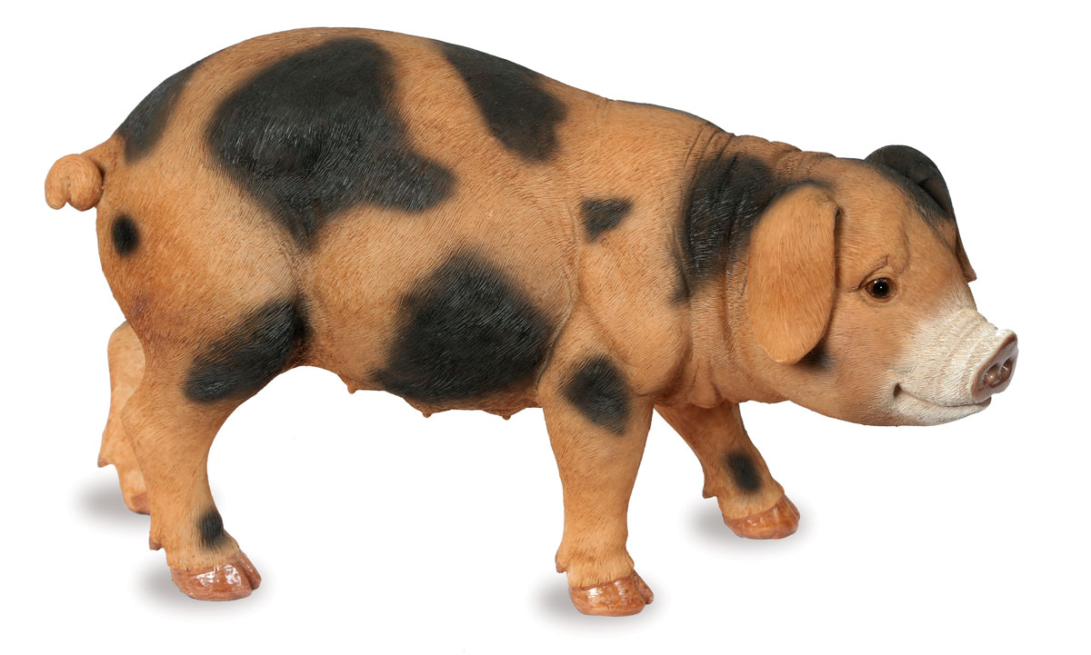 Oxford Pig - Animal Art Garden Ornament