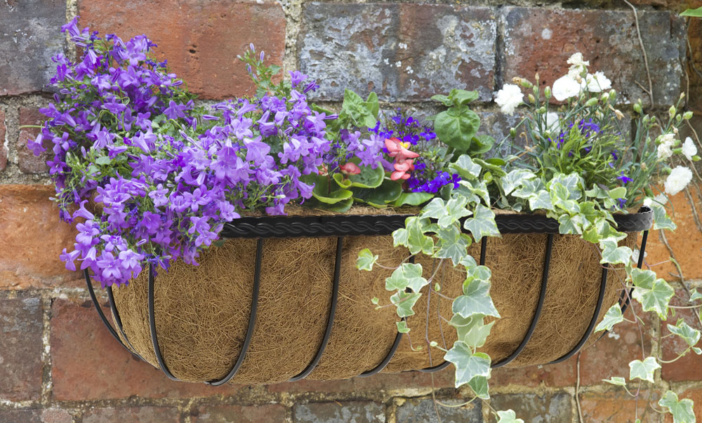 Saxon Wall Troughs