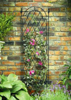 Metal Trellis