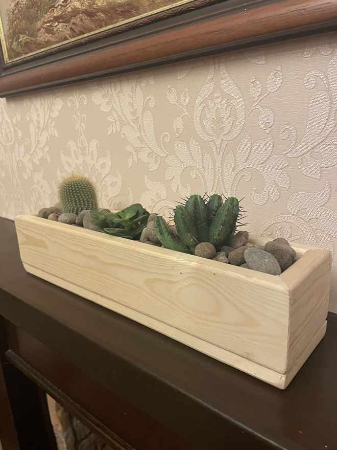 Indoor Succulent Planter Plant Pot Natural