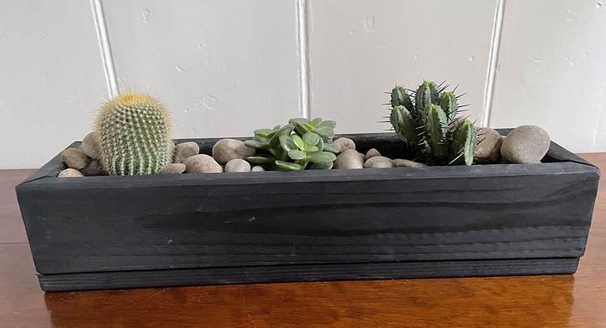 Succulent Planter Plant Box Black