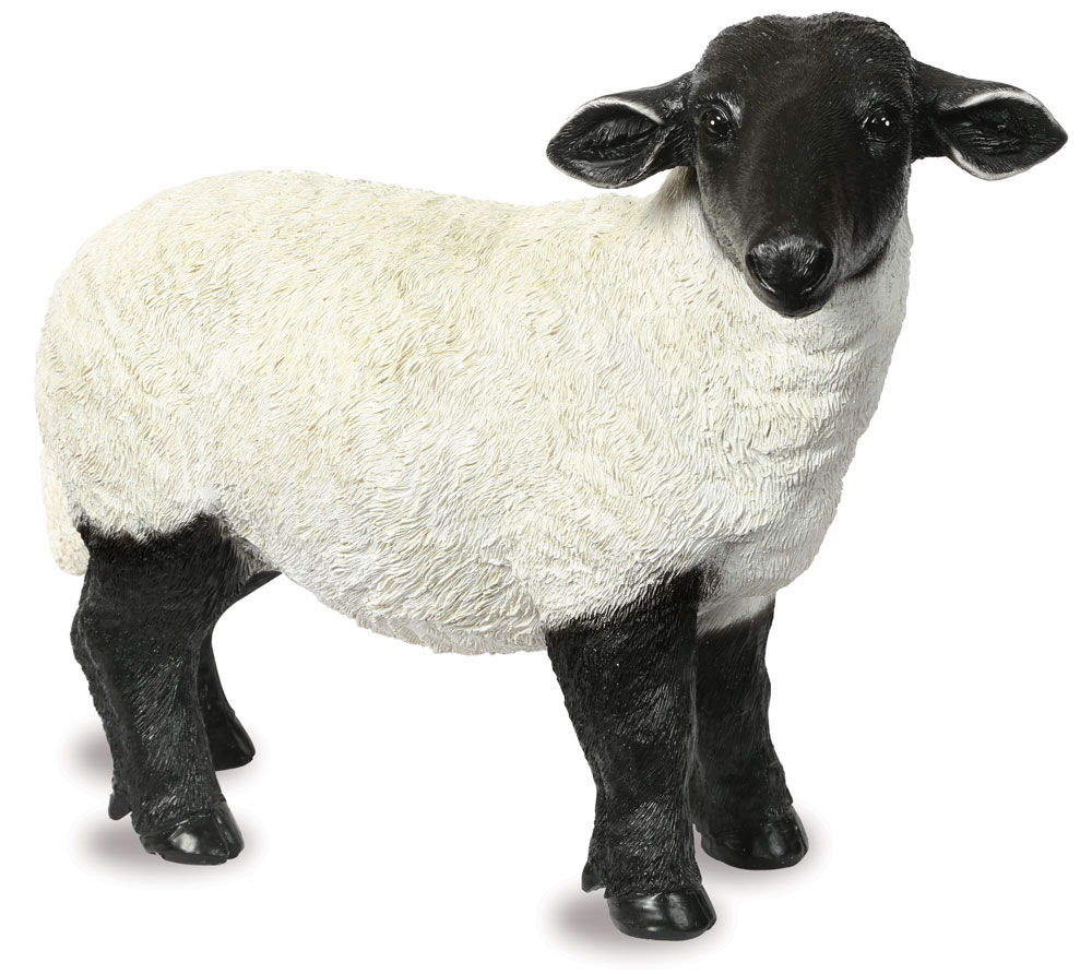 Suffolk Sheep - Garden Ornament 