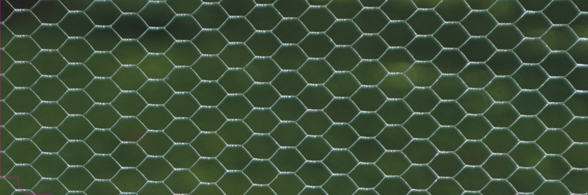 Garden Wire Netting 10m x 0.9m Chicken Wire Mesh UK Garden Products