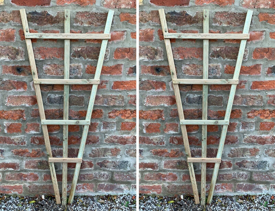 Climbing Plant Support Trellis Fan Wood 2 Pcs